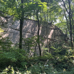 22-07-30 12-44-35 1749